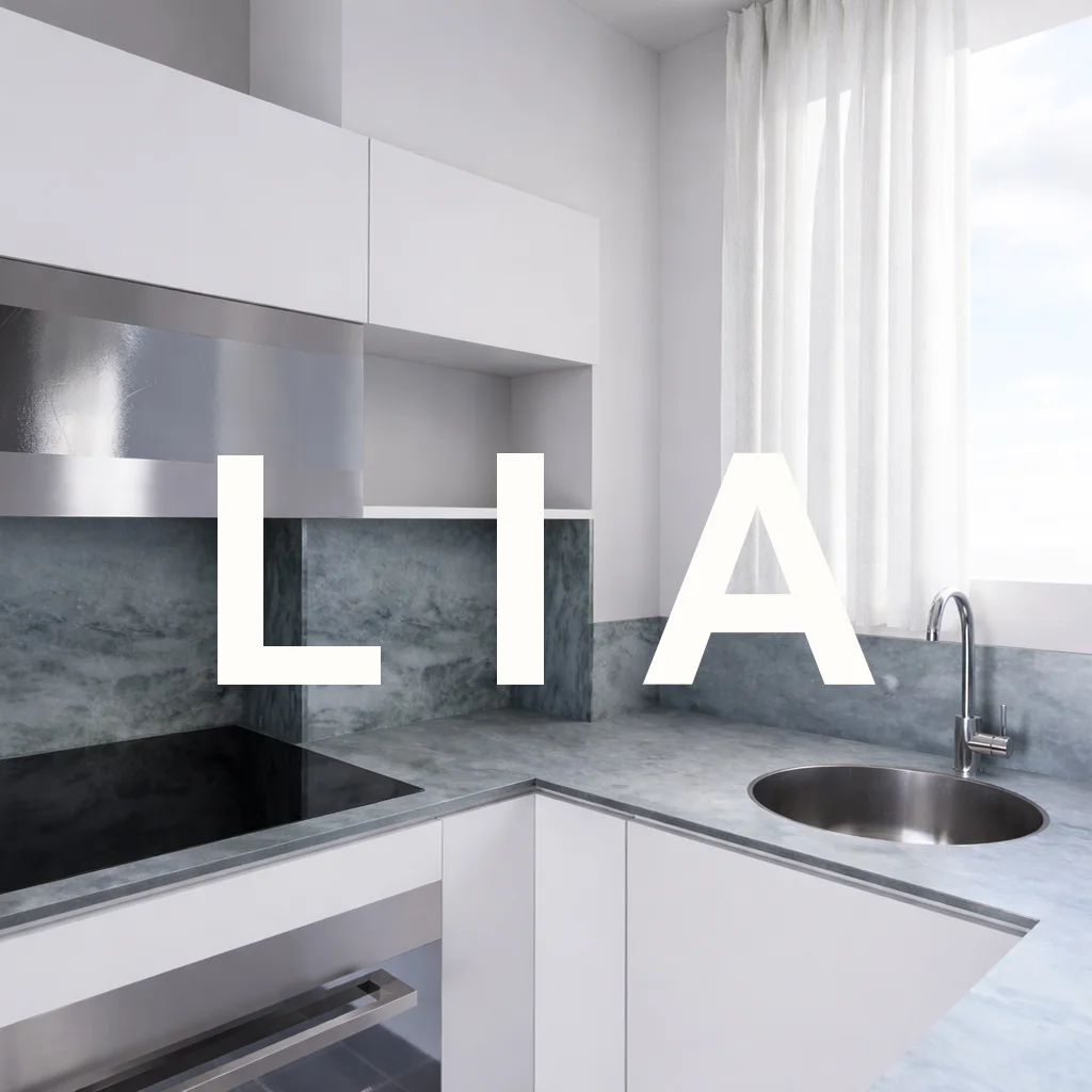 NYC apartment remodeling by Lenka Ilic Architecture